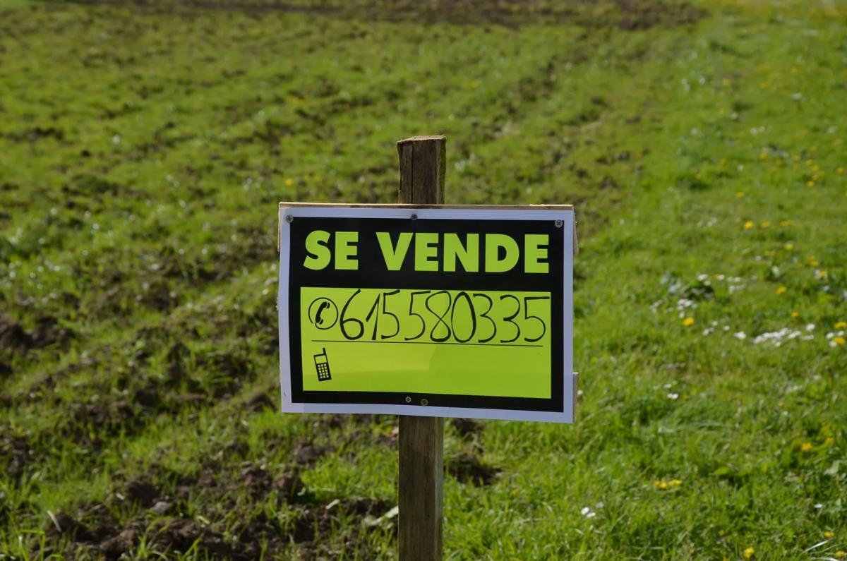 Terreno en venta en Ordes, A Coruña photo 3