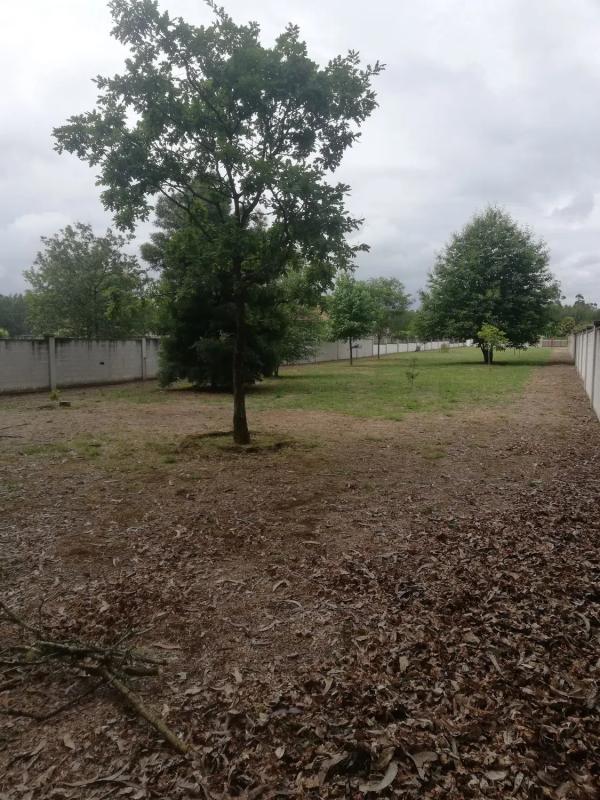 Land for sale in Ordes, A Coruña photo 3