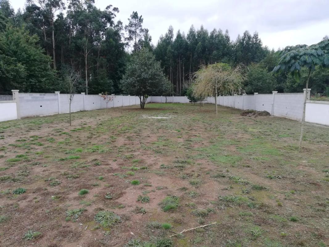 Land for sale in Ordes, A Coruña photo 5