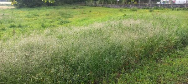 Terreno en Oroso photo 2