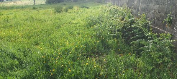 Terreno en Oroso photo 3