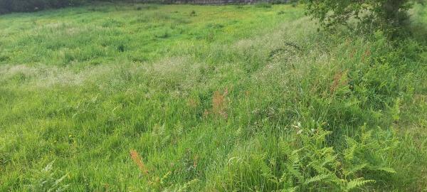 Terreno en Oroso photo 4
