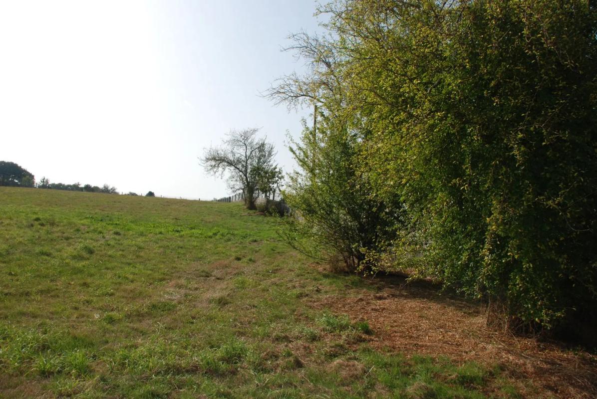 Land for sale in Oroso, A Coruña photo 5