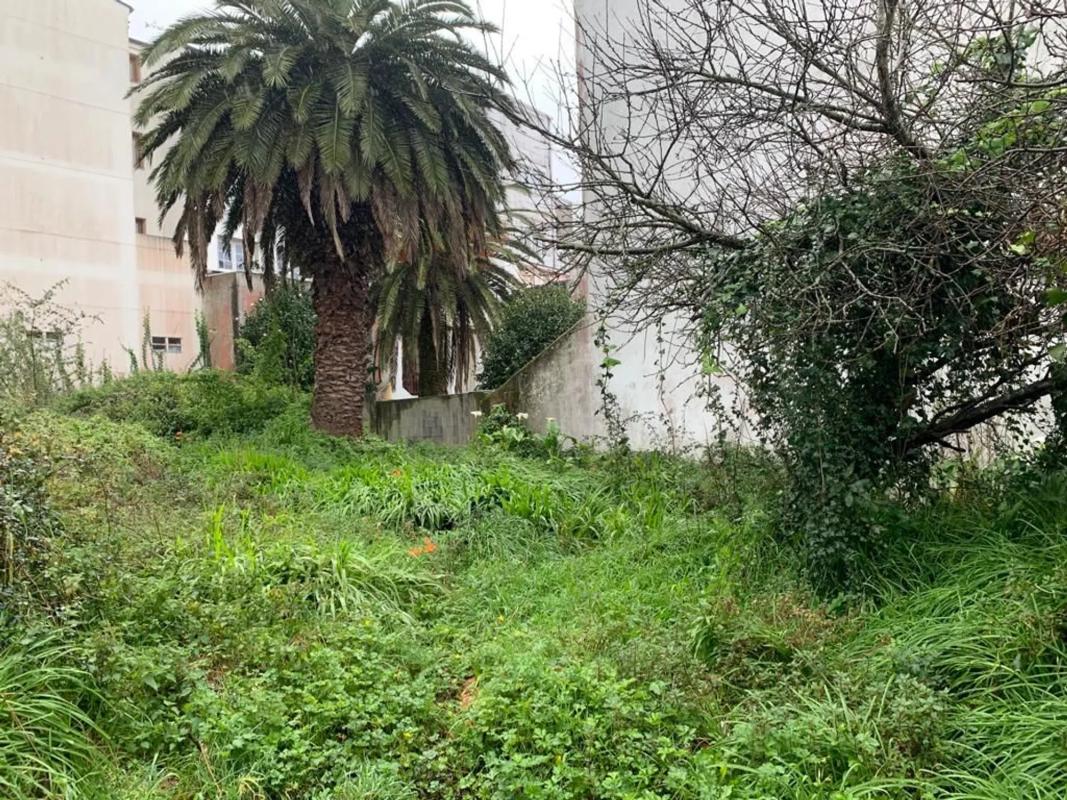 Działka na sprzedaż w Ortigueira, A Coruña photo 2