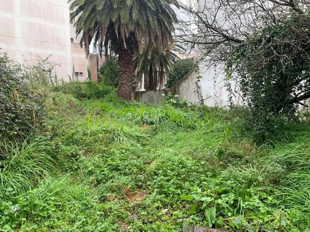 Działka na sprzedaż w Ortigueira, A Coruña photo 4