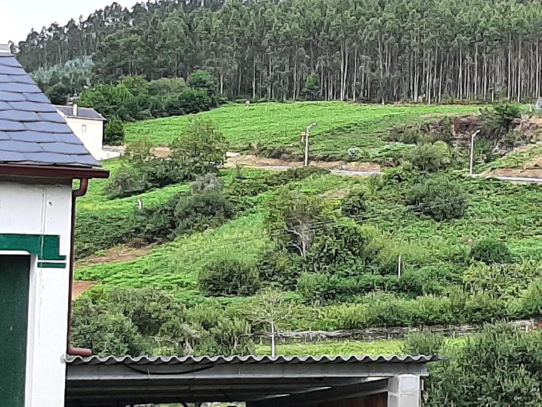 Działka na sprzedaż w Ortigueira, A Coruña photo 3