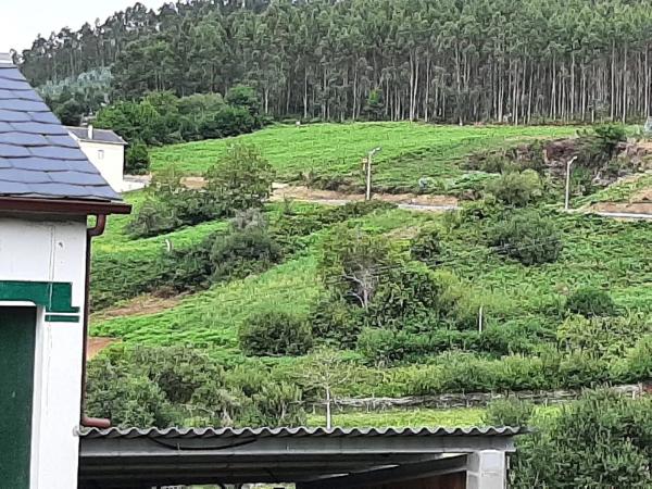 Terreno en Ladrido s/n photo 3