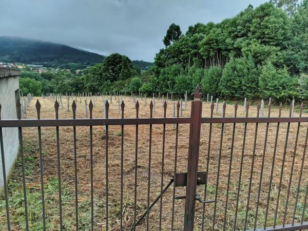 Terreno en Cortiñas s/n photo 2