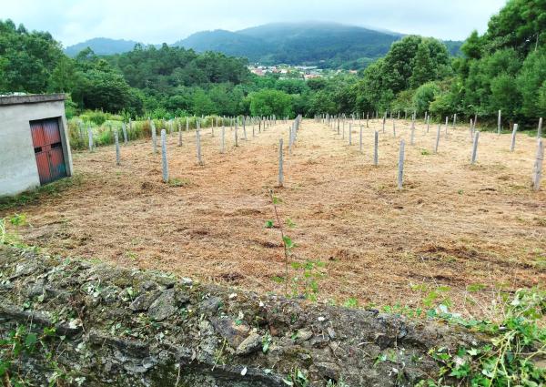 Terreno en Cortiñas s/n photo 3