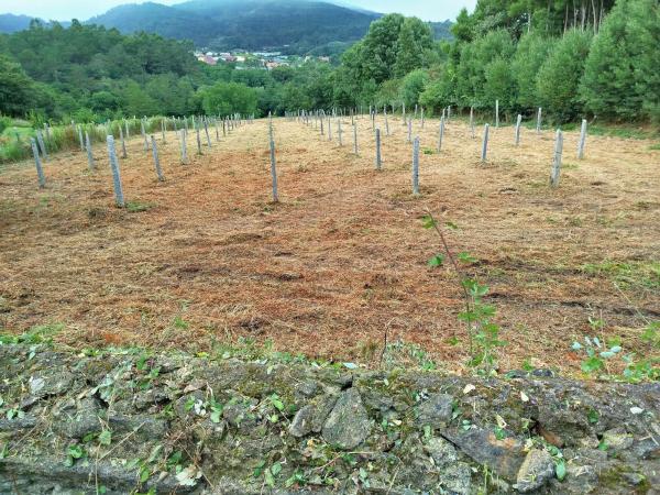 Terreno en Cortiñas s/n photo 4