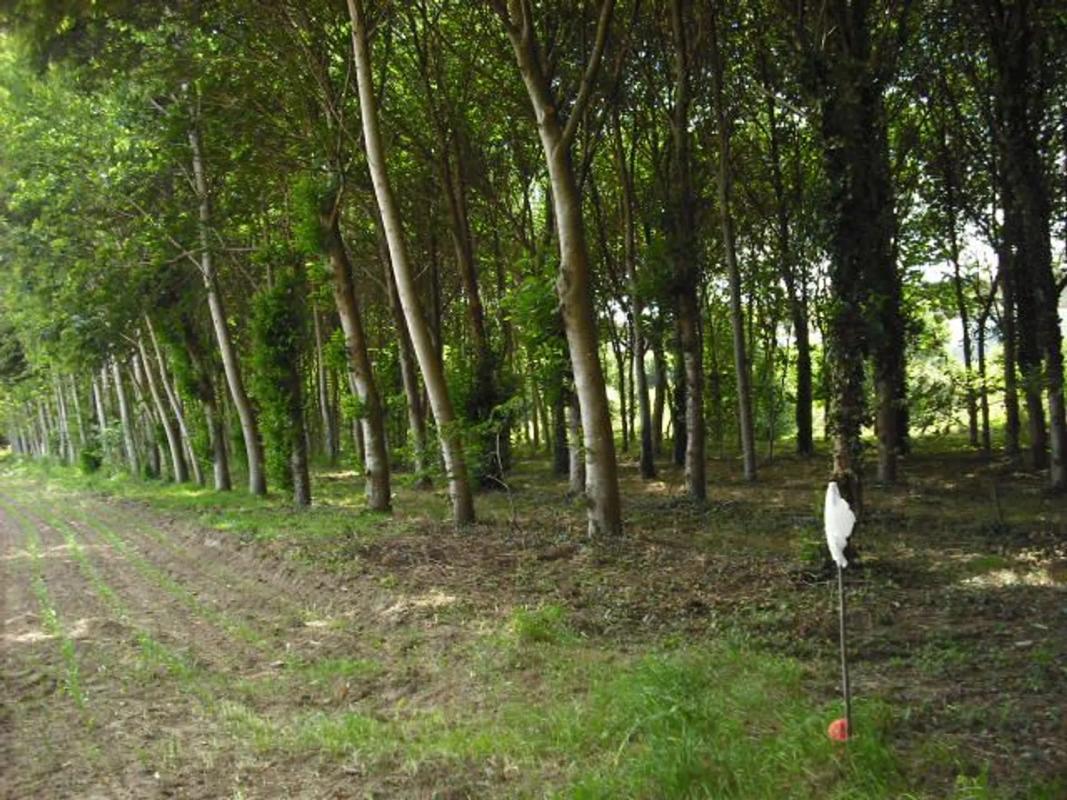 Недвижимость на продажу и в аренду в Испании photo 4