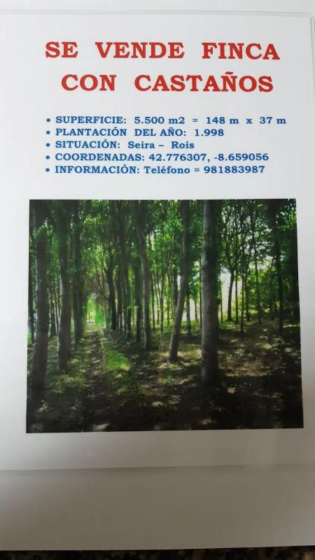 Недвижимость на продажу и в аренду в Испании photo 5