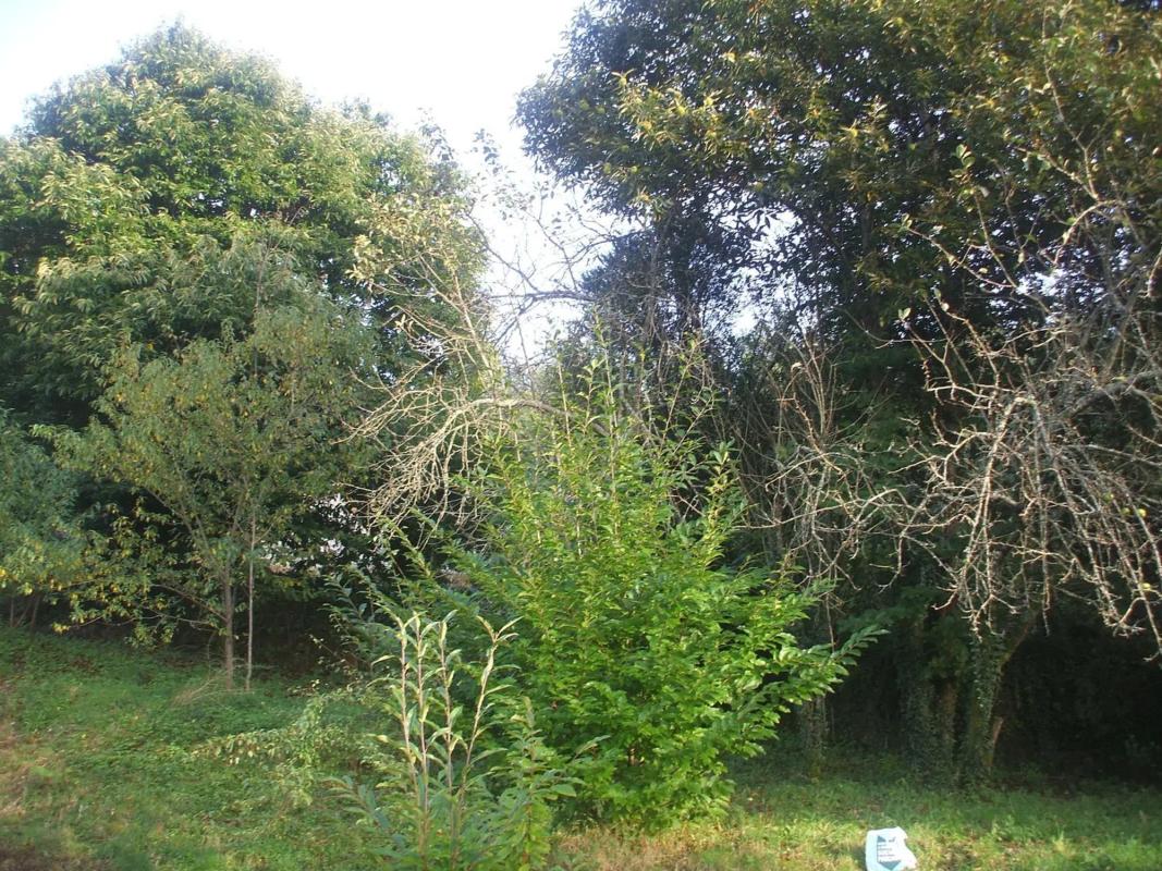 Недвижимость на продажу и в аренду в Испании photo 3