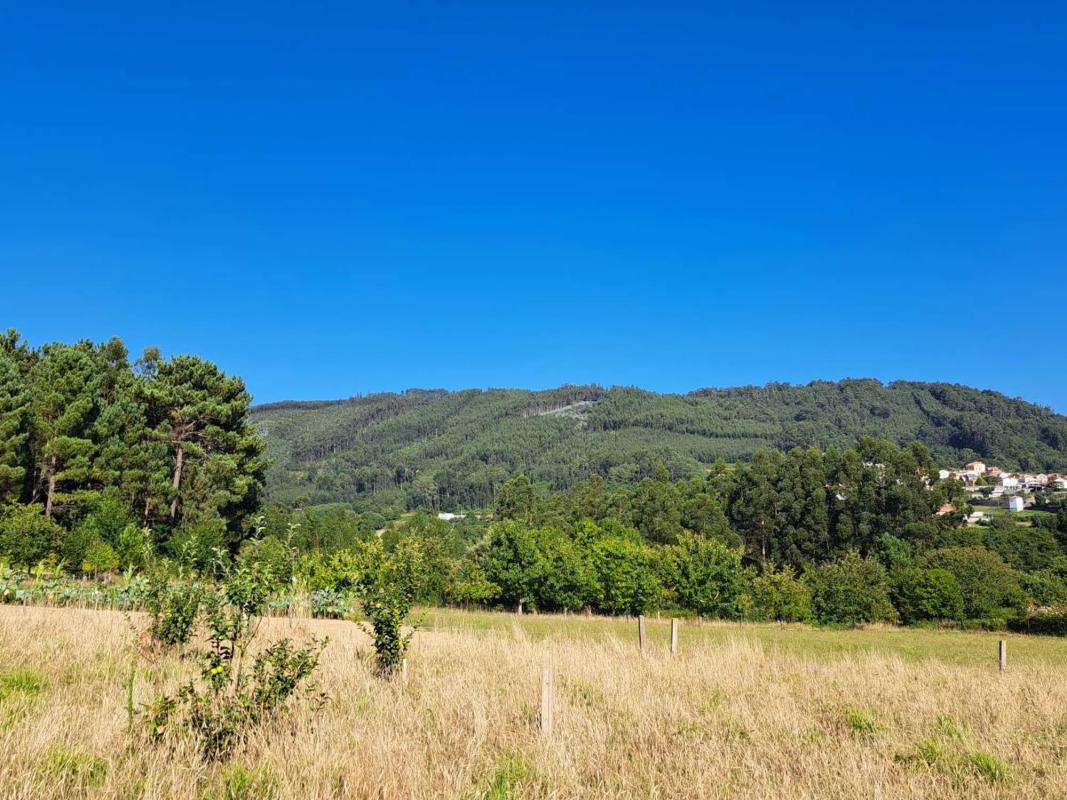 Terreno en venta en Pontedeume, A Coruña photo 3