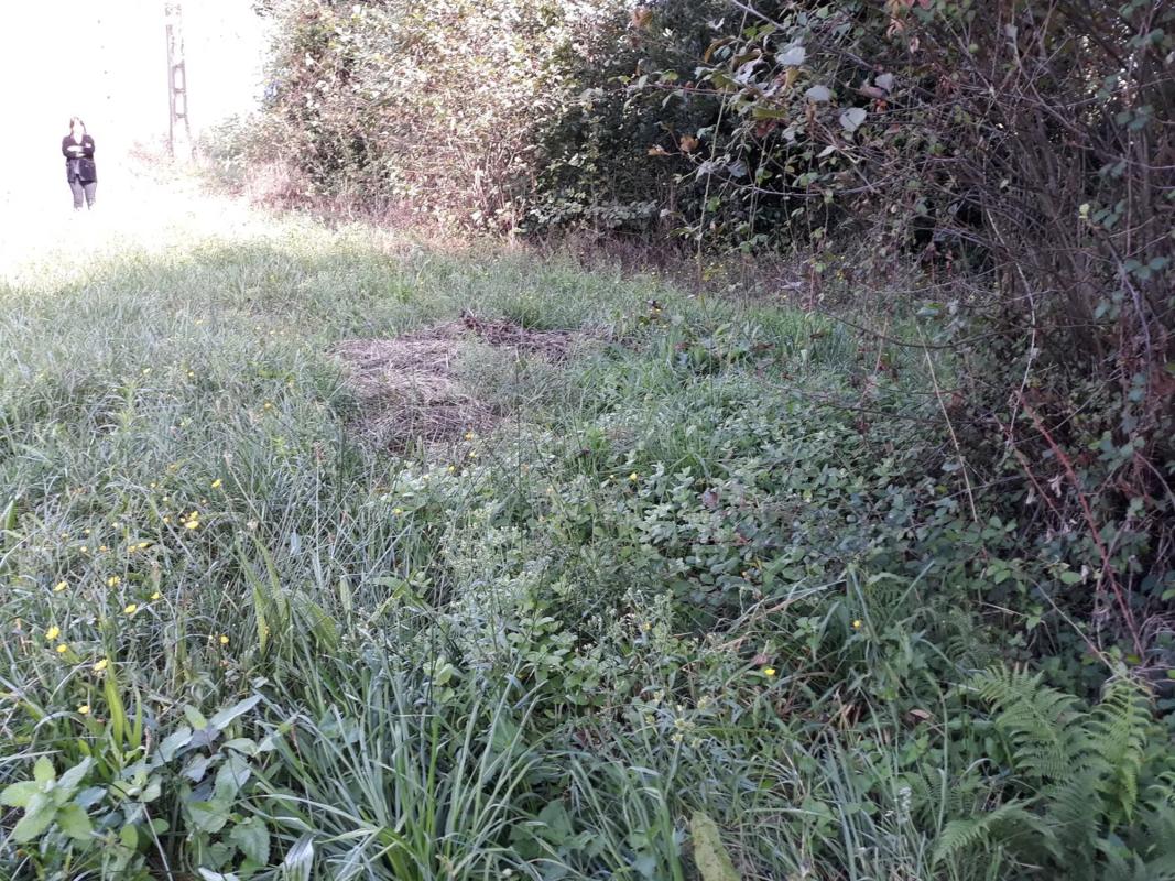 Terreno en venta en Pontedeume, A Coruña photo 2