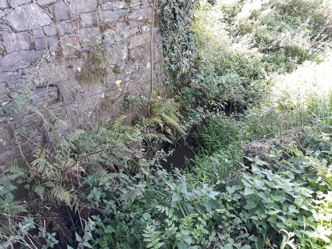 Terreno en venta en Pontedeume, A Coruña photo 3
