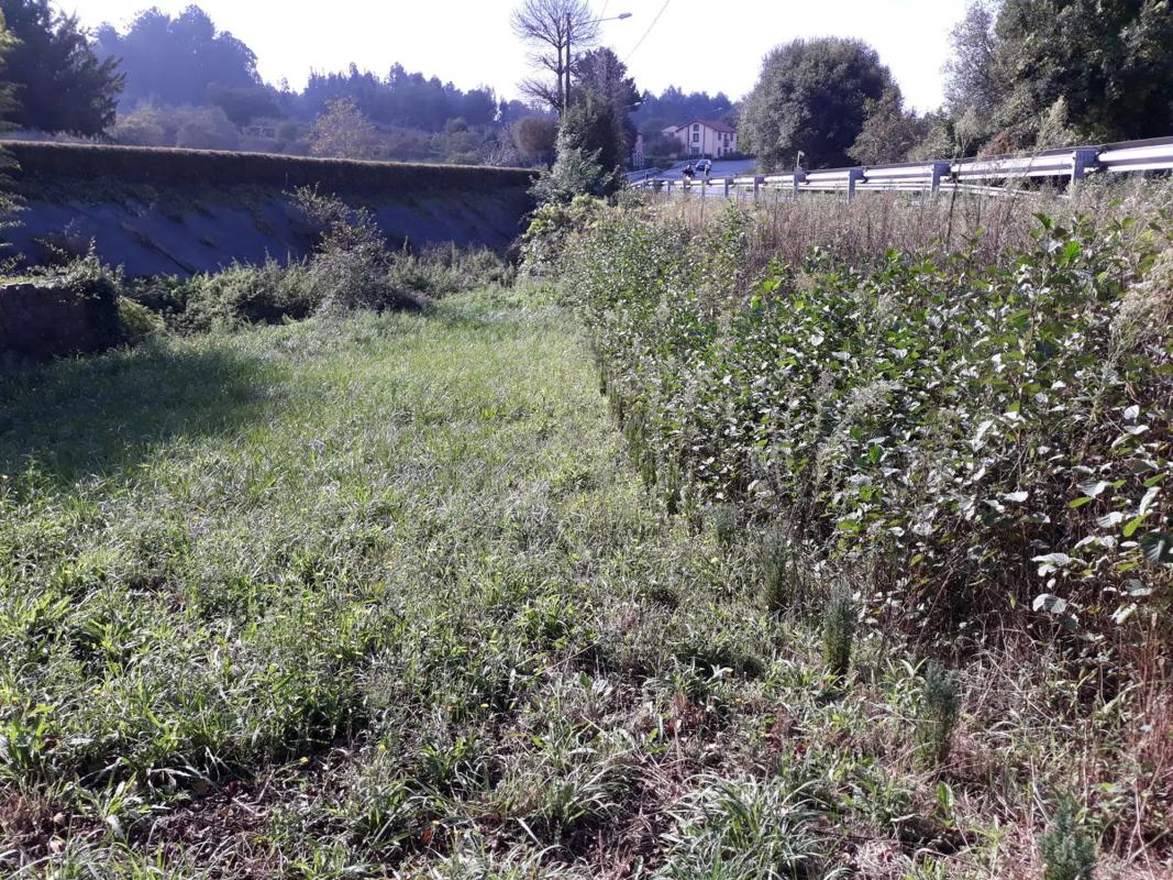 Terreno en venta en Pontedeume, A Coruña photo 5