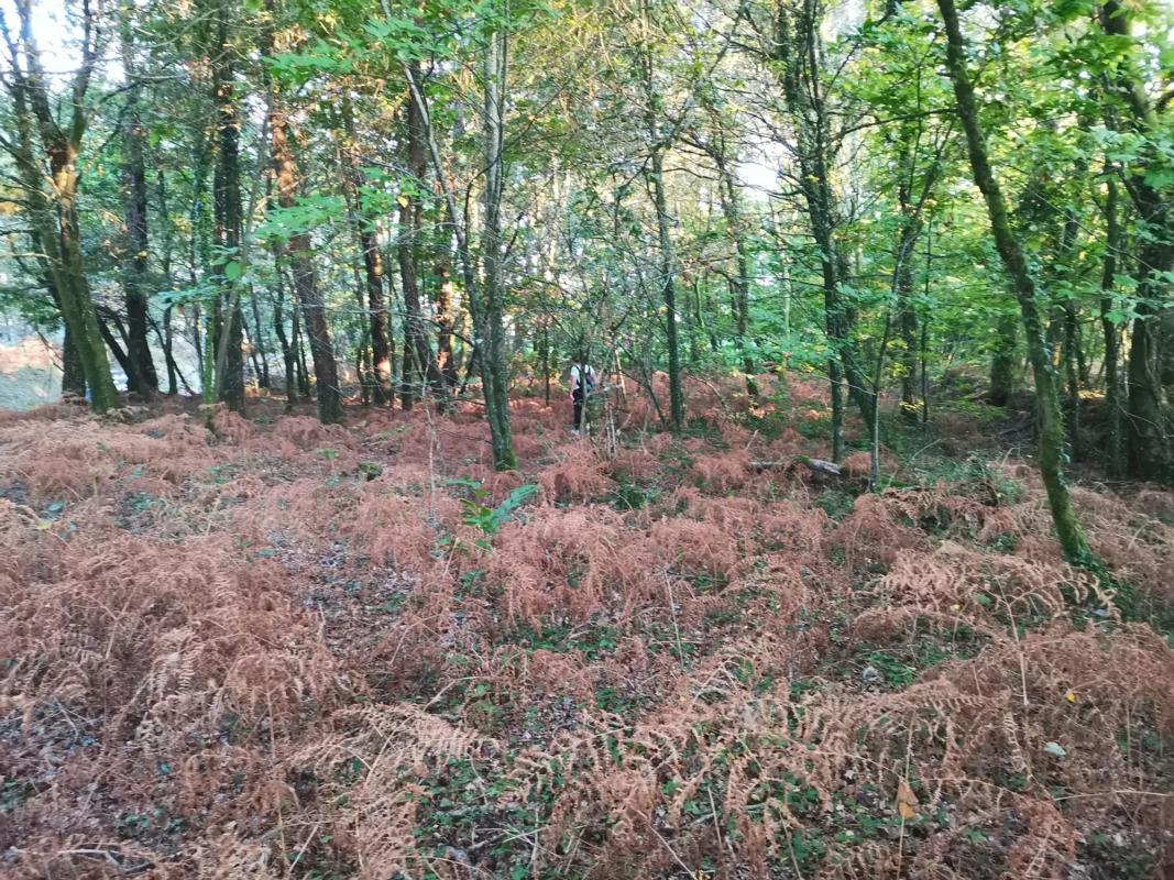 Land for sale in Ames, A Coruña photo 5