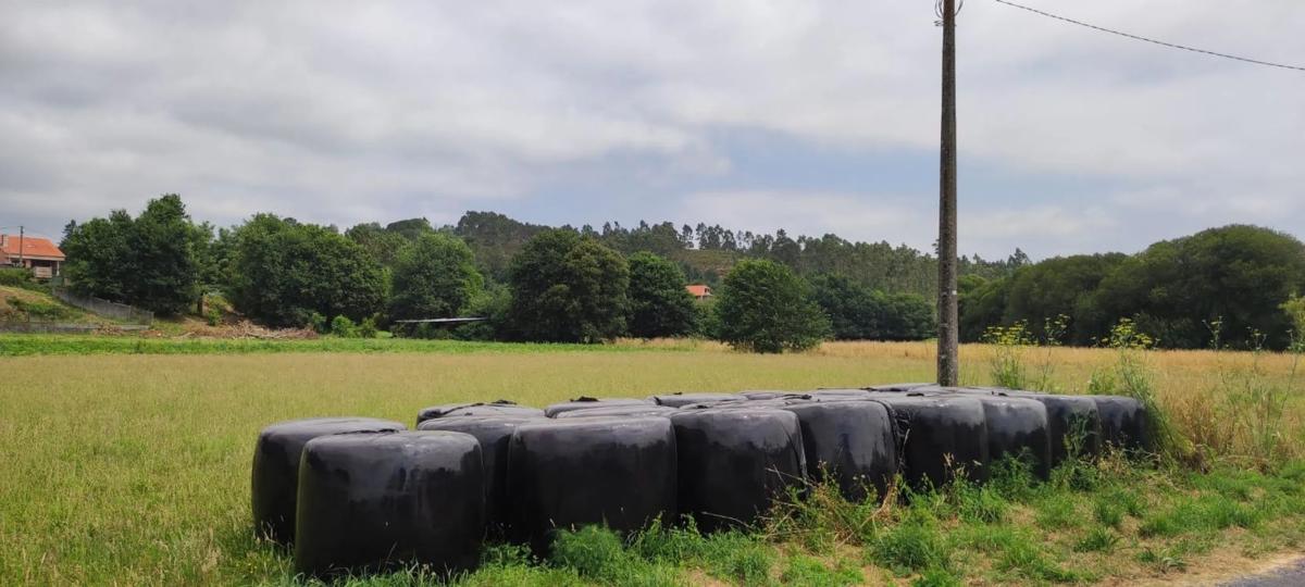 Działka na sprzedaż w Brion, A Coruña photo 1