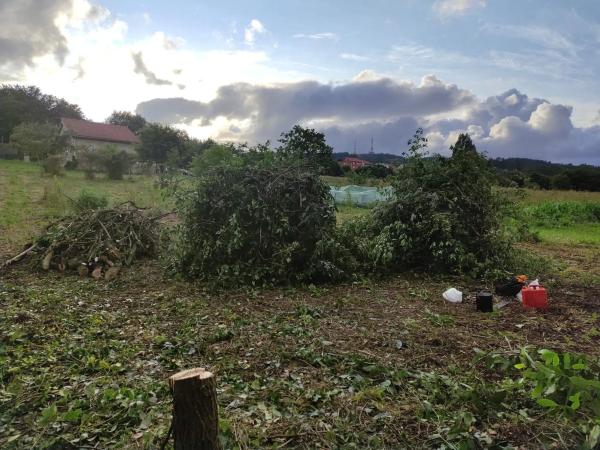 Terreno en calle Ponte da Asen s/n Sn photo 4