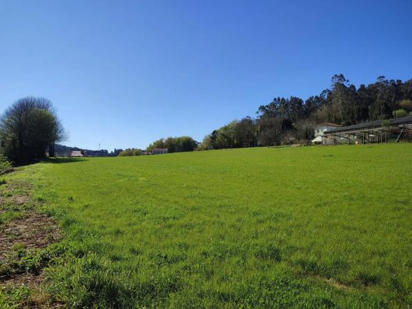 Terreno en Marrozos - Eixo photo 3