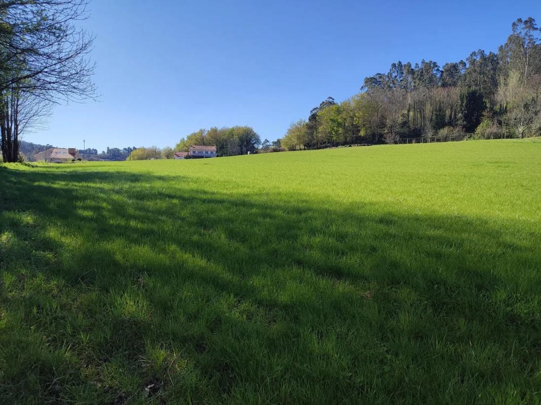 Land for sale in Santiago de Compostela, A Coruña photo 5