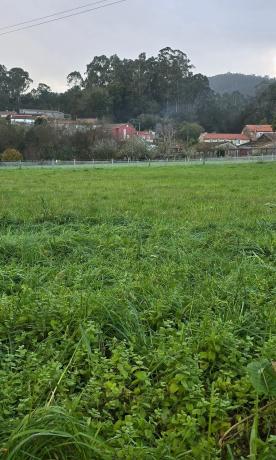 Terreno en Lugar Castrigo, 5 photo 2