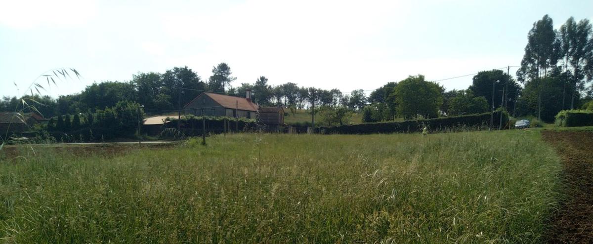 Land for sale in Santiago de Compostela, A Coruña photo 3
