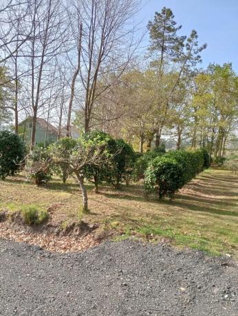 Terreno en o tremo photo 3