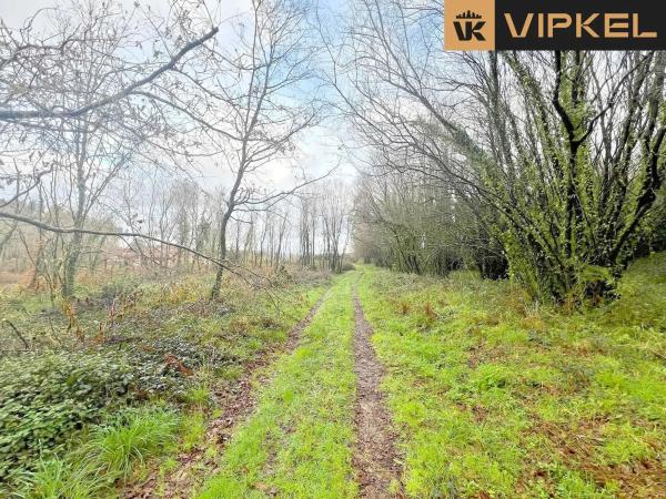 Terreno en Aldea Fraiz photo 1