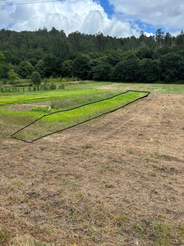 Terreno en venta en Ames, A Coruña photo 2