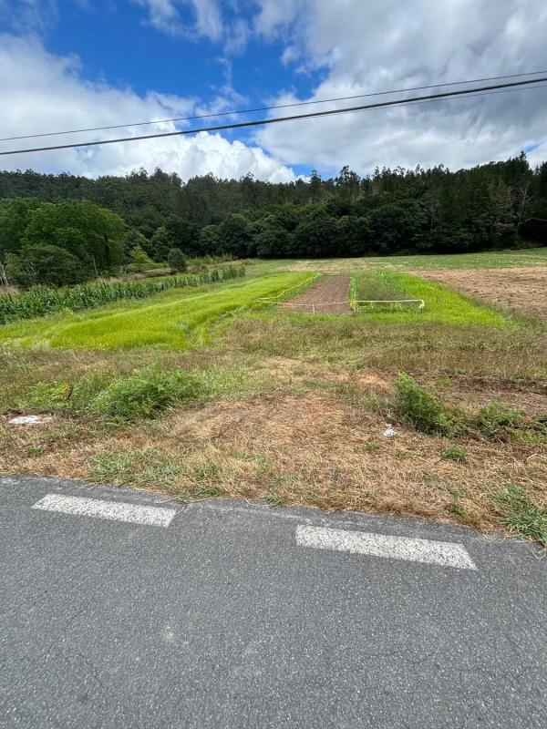 Terreno en venta en Ames, A Coruña photo 3