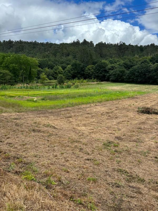 Terreno en venta en Ames, A Coruña photo 4