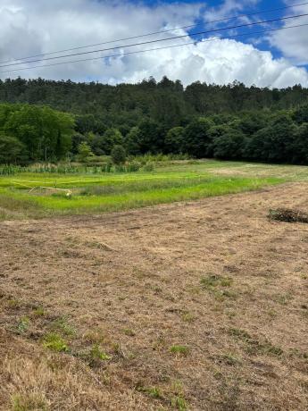 Terreno en Cp-0201, 5 photo 4