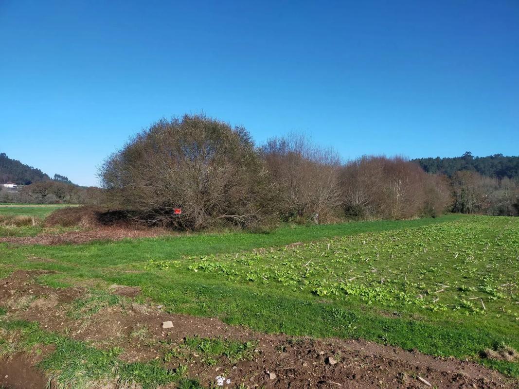 Terreno en venta en Santiago de Compostela, A Coruña photo 1