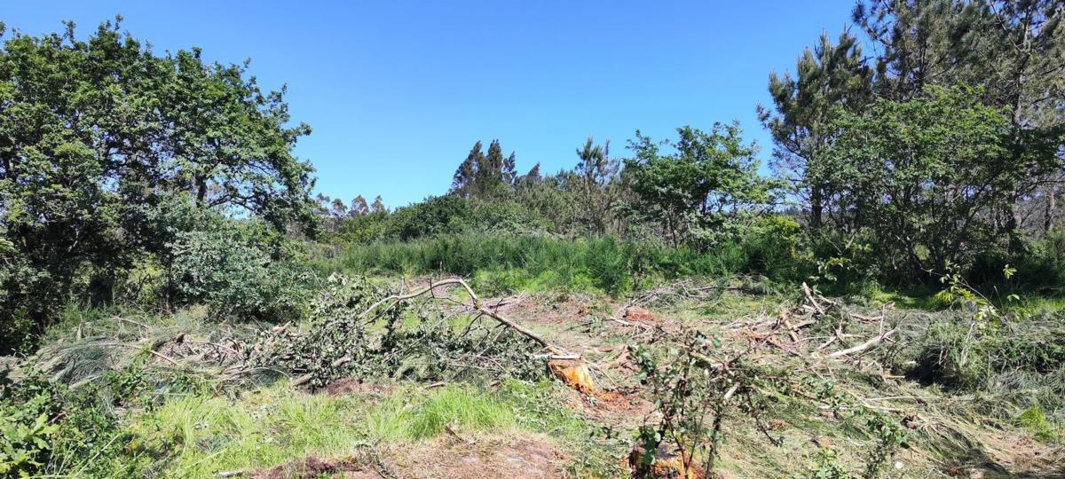 Land for sale in Kings, A Coruña photo 2