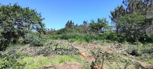 Terreno en Beade s/n photo 2