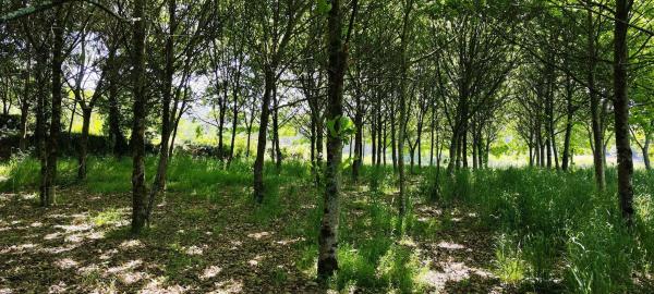 Terreno en Beade s/n photo 3