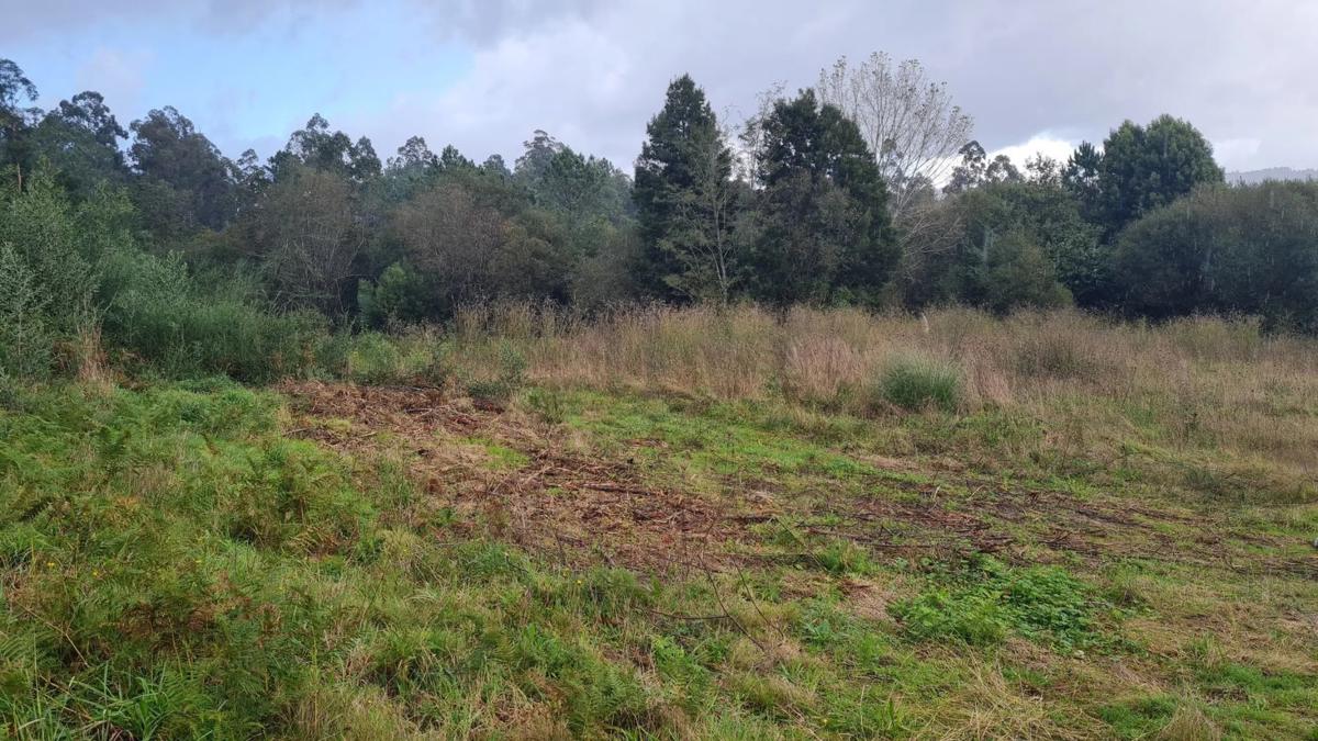 Terreno en venta en Ames, A Coruña photo 3