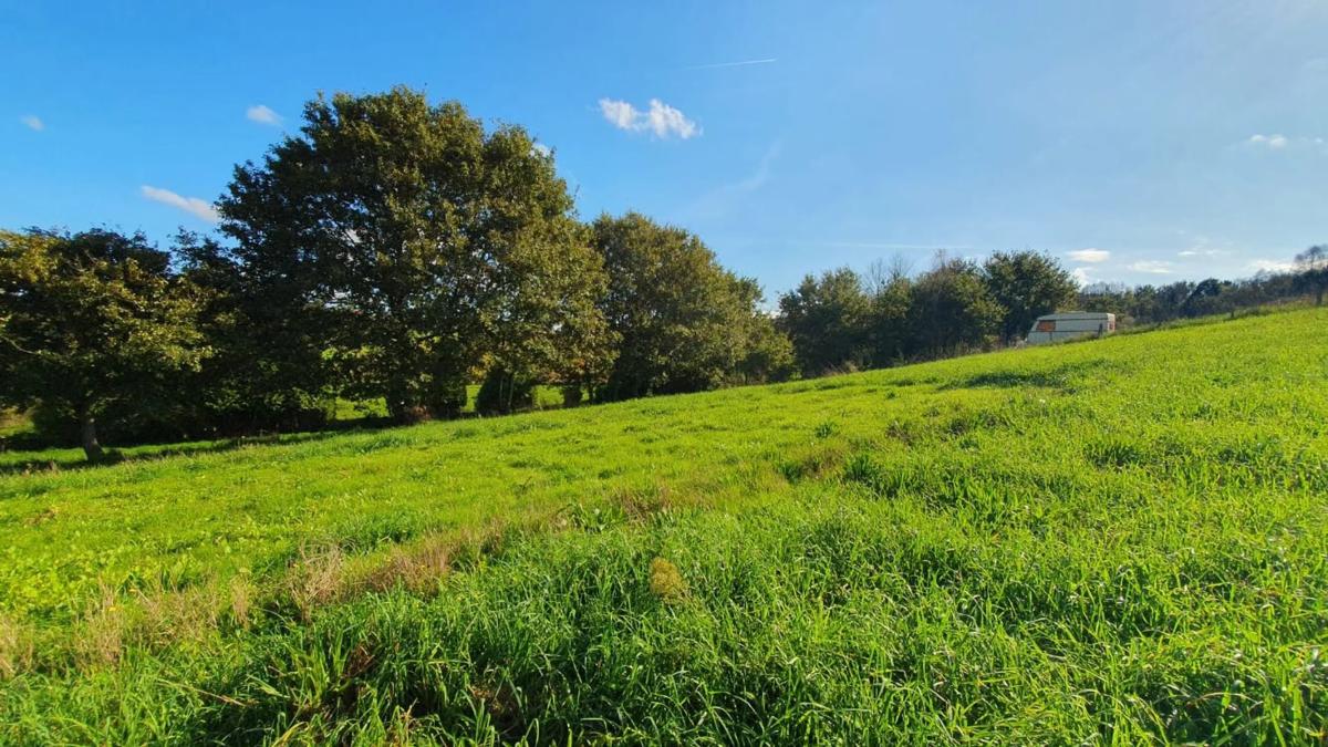 Terreno en venta en Santiago de Compostela, A Coruña photo 2
