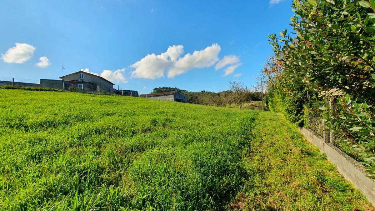 Terreno en venta en Santiago de Compostela, A Coruña photo 5