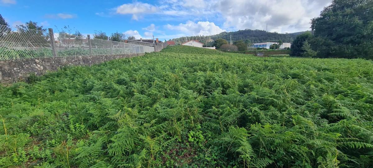 Land for sale in Kings, A Coruña photo 3