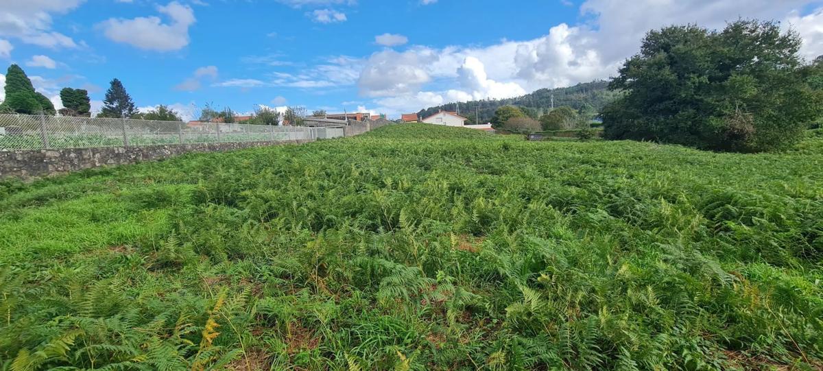 Land for sale in Kings, A Coruña photo 4