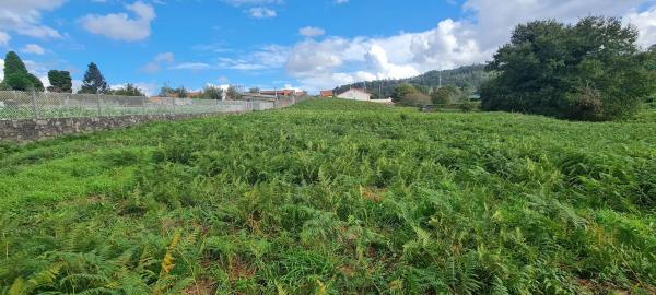 Terreno en Ac-300 photo 4