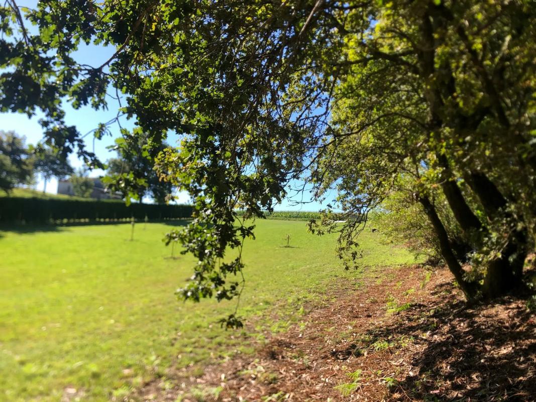 Działka na sprzedaż w Ames, A Coruña photo 4