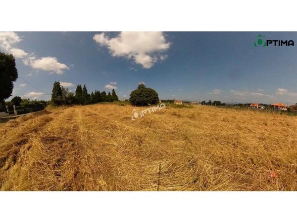 Terreno en Dp-0205 photo 4