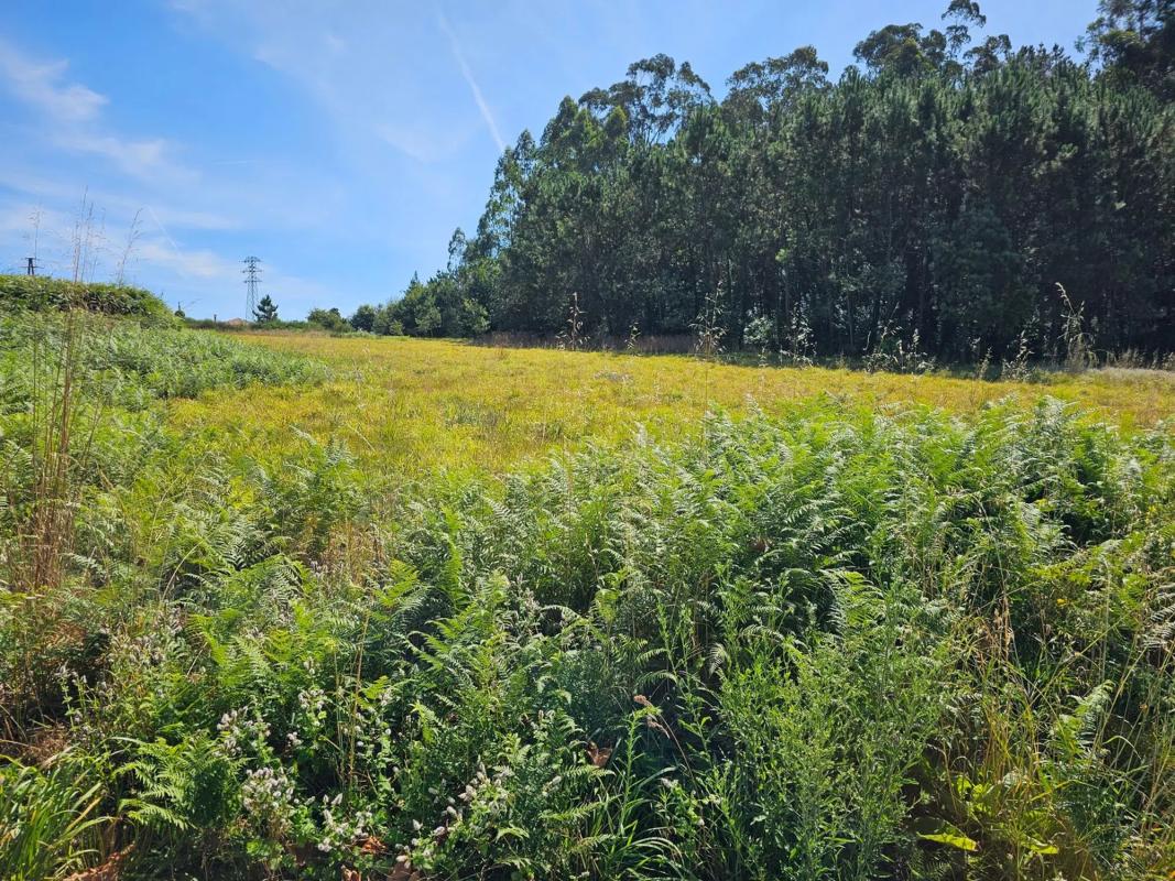 Land for sale in Ames, A Coruña photo 1