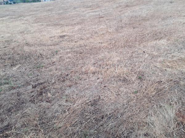 Terreno en Lg Vilar (Santo Tomé de Ames) s/n sn photo 2