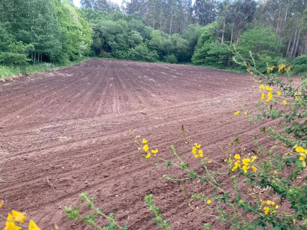 Terreno en Carracedo s/n photo 2