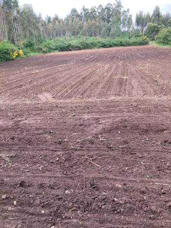 Terreno en Carracedo s/n photo 3